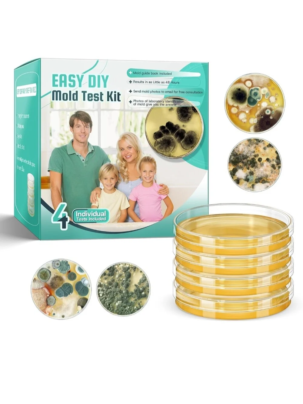 Mold Test Kit for Home Detection: 4 Simple DIY Science Kits for Fastly Testing